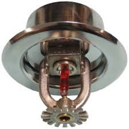 Picture of Conventional Sprinkler