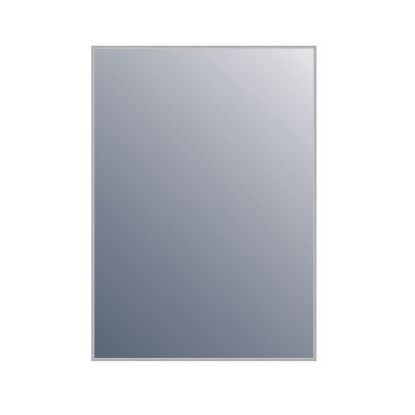 Picture of Aluminum Framed Reversible Mirror