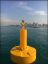 Picture of NAVIGATION BOUY 