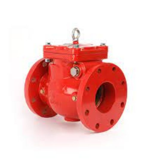 Picture of SWING CHECK VALVE SD-NRV300FF-D