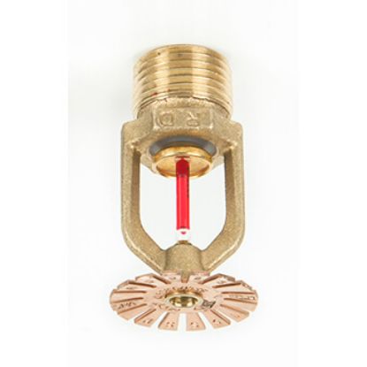 Picture of RD023 SSP Pendent Quick Response Sprinkler