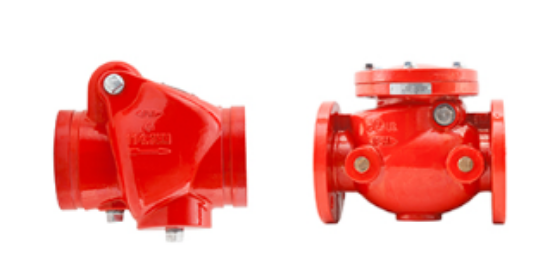 Picture of CHECK VALVE By Rapidrop