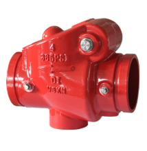 Picture of 306 Swing Check Valve (Grooved)