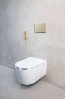 Picture of Wall Mounted WC with Soft Close Seat and Cover - Corsair 