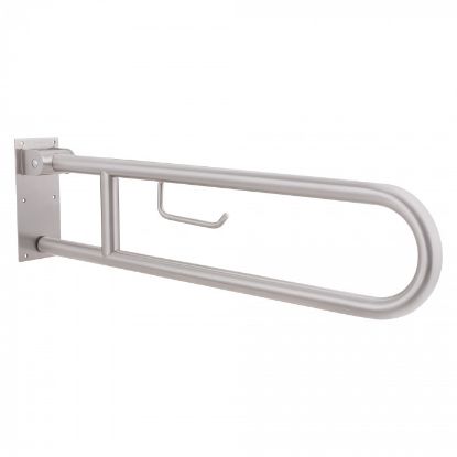 Picture of FOLD DOWN GRAB BAR W/ROLL HOLDER SS, IX304 , AQUAECO