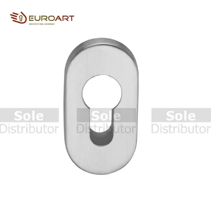 Picture of CYLINDER ESCUTCHEON (KEY HOLE) 63MM x 33MM x 8MM THICNESS NES003/SSS EUROART