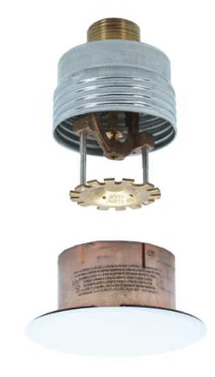 Picture of Concealed Pendent Sprinkler 74 Deg C, 3/4" NPT Thread, K Factor 11.2 (160), Quick Response, Extended Coverage with White Cover Plate (G4/G5), SIN: R7146, Model: G4 XLO QR ECLH, P/N.# 1716174198, UL Listed - Reliable