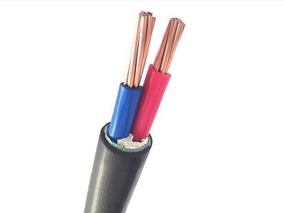 Picture of 1KV CABLE 2 Core Copper Conductor XLPE Insulation Low smoke Zero Halogen  Model: 16510107 - BAHRA ELECTRIC